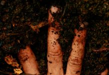 Do You Spend Enough Time in the Dirt? Do You Spend Enough Time in the Dirt?