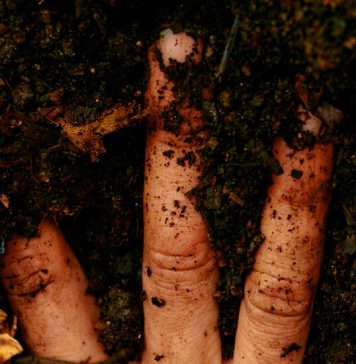 Do You Spend Enough Time in the Dirt? Do You Spend Enough Time in the Dirt?