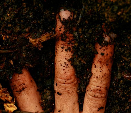 Do You Spend Enough Time in the Dirt? Do You Spend Enough Time in the Dirt?