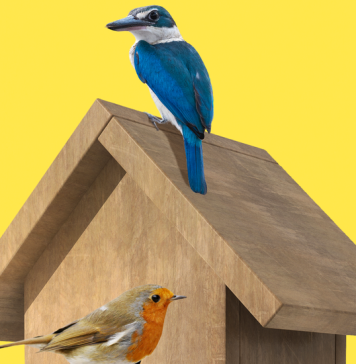 Should College Freshmen Choose Their Roommates? Should College Freshmen Choose Their Roommates?