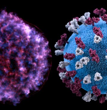 Supernova or Coronavirus: Can You Tell the Difference? Supernova or Coronavirus: Can You Tell the Difference?