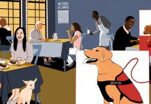 Should Dogs Be Allowed Inside Restaurants and Stores? Should Dogs Be Allowed Inside Restaurants and Stores?