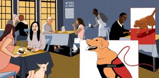 Should Dogs Be Allowed Inside Restaurants and Stores? Should Dogs Be Allowed Inside Restaurants and Stores?