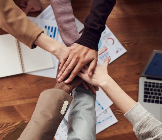 The Impact of Investing in Your Employees’ Development The Impact of Investing in Your Employees’ Development