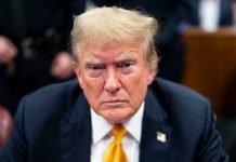 What Is Your Reaction to Trump’s Conviction on 34 Felony Counts? What Is Your Reaction to Trump’s Conviction on 34 Felony Counts?