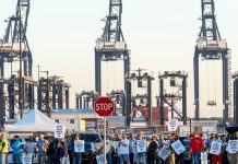 Weekly Student News Quiz: V.P. Debate, Middle East, Nibi the Beaver Weekly Student News Quiz: V.P. Debate, Middle East, Nibi the Beaver