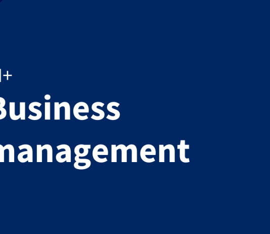 Business professionals + GenAI: saving time and increasing performance Business professionals + GenAI: saving time and increasing performance