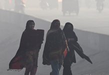 Weekly Student News Quiz: Republican Win, Obesity Report, Rhesus Monkeys Weekly Student News Quiz: Republican Win, Obesity Report, Rhesus Monkeys