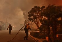 Weekly Student News Quiz: Wildfires, TikTok, Perry the Donkey Weekly Student News Quiz: Wildfires, TikTok, Perry the Donkey