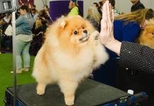 Weekly Student News Quiz: Russia-Ukraine War, Quantum Computing, S.N.L. Weekly Student News Quiz: Russia-Ukraine War, Quantum Computing, S.N.L.