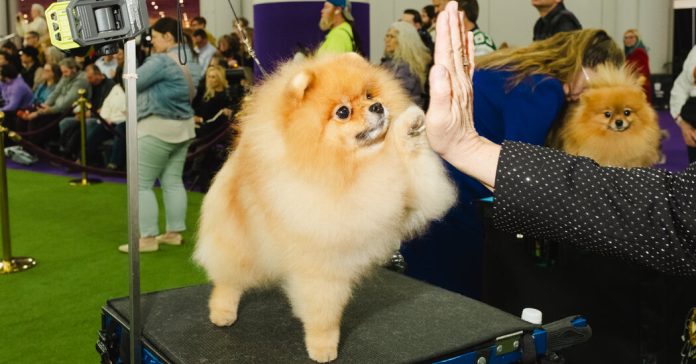 Weekly Student News Quiz: Russia-Ukraine War, Quantum Computing, S.N.L.