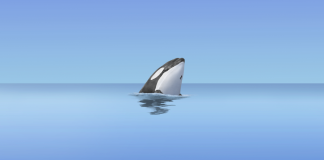 Listen: ‘The Good Whale Podcast: Episode 1” Listen: ‘The Good Whale Podcast: Episode 1”