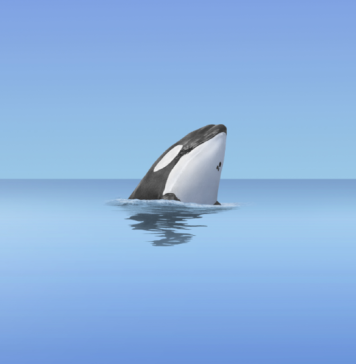 Listen: ‘The Good Whale Podcast: Episode 1” Listen: ‘The Good Whale Podcast: Episode 1”