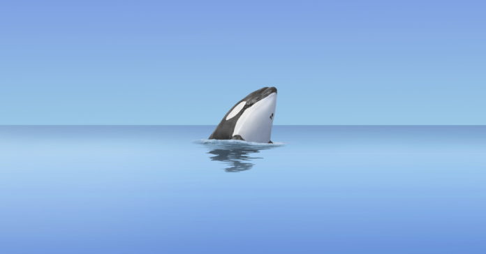 Listen: ‘The Good Whale Podcast: Episode 1”