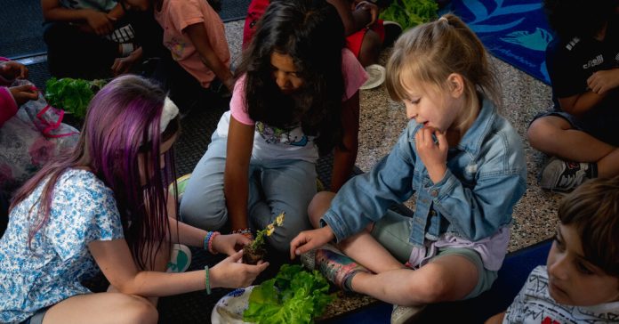 What’s Going On in This Picture? | March 17, 2025