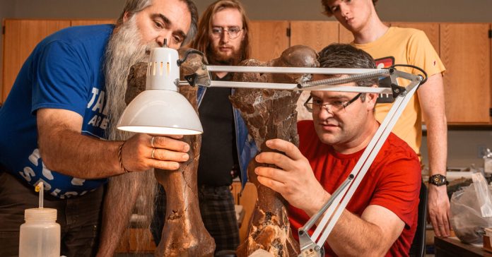 What’s Going On in This Picture? | March 24, 2025