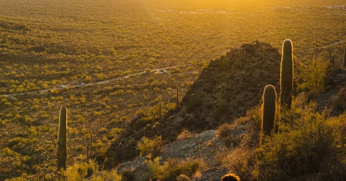 What Are Your Recommendations for Visitors to Your Hometown?