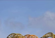 Theme Park Theme Park