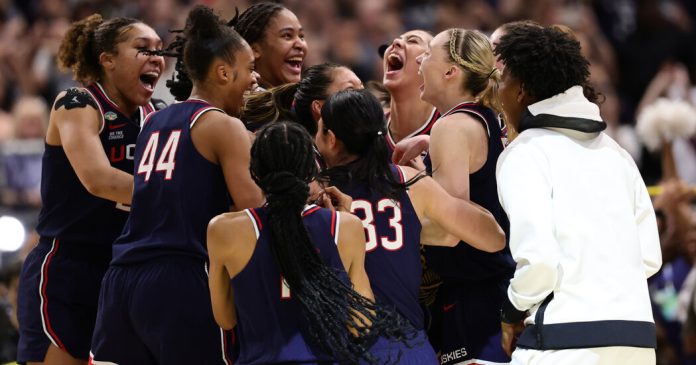 Weekly Student News Quiz: Global Markets, N.C.A.A. Finals, a Tortoise