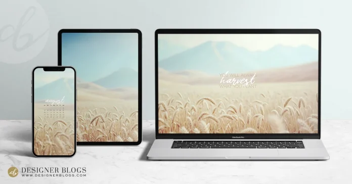 Free August 2025 Wallpaper – Golden Harvest