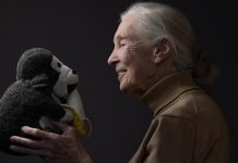 Weekly Student News Quiz: National Guard, Taylor Swift, Comets Weekly Student News Quiz: National Guard, Taylor Swift, Comets