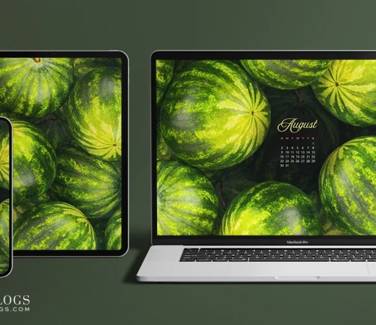 Free August 2026 Wallpaper – August Abundance Free August 2026 Wallpaper – August Abundance