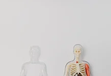 Anatomy of Medical School Anatomy of Medical School